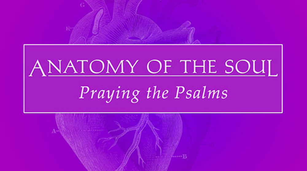 Anatomy of the Soul: Praying the Psalms